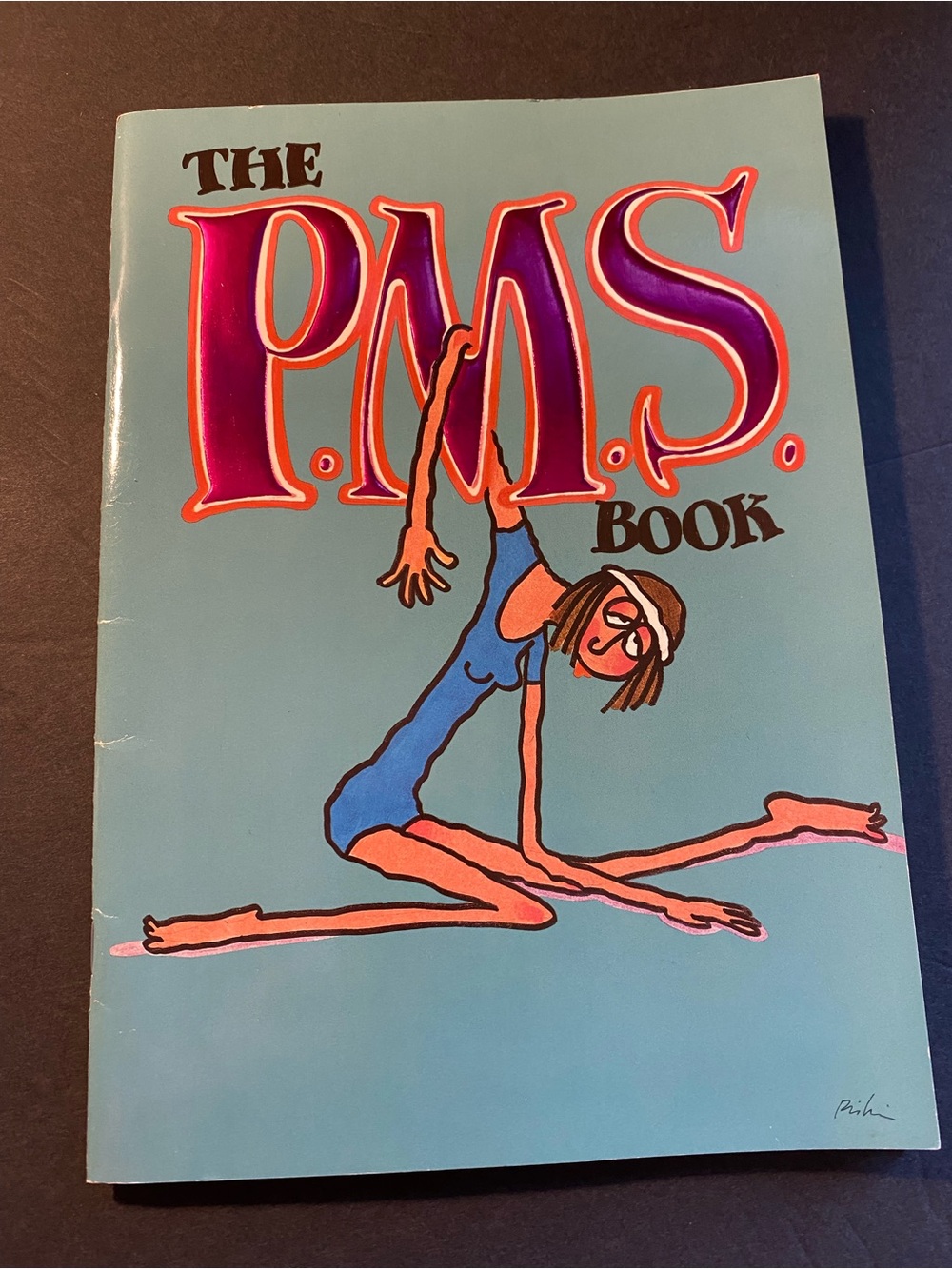 The PMS Book - Written & Illustrated by Florence Schotts Copyright 1988